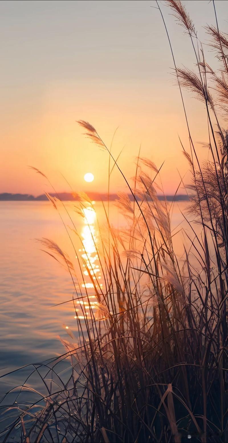 退休的大爷大妈们就别天天晒养老金了，你们这样搞。“农闹”们的小心脏受不了，他们本