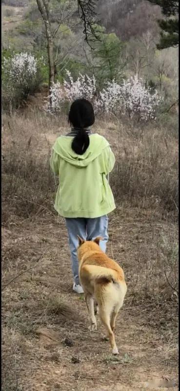 南太行山失联女孩最后信号不在山林南太行山失联女孩最后信号不在山林这几天，南太