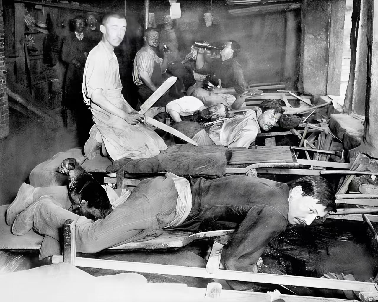 约1900年代的法国磨刀工。为了防止腰部损伤，他们趴着工作，并让狗坐在腿上取暖。