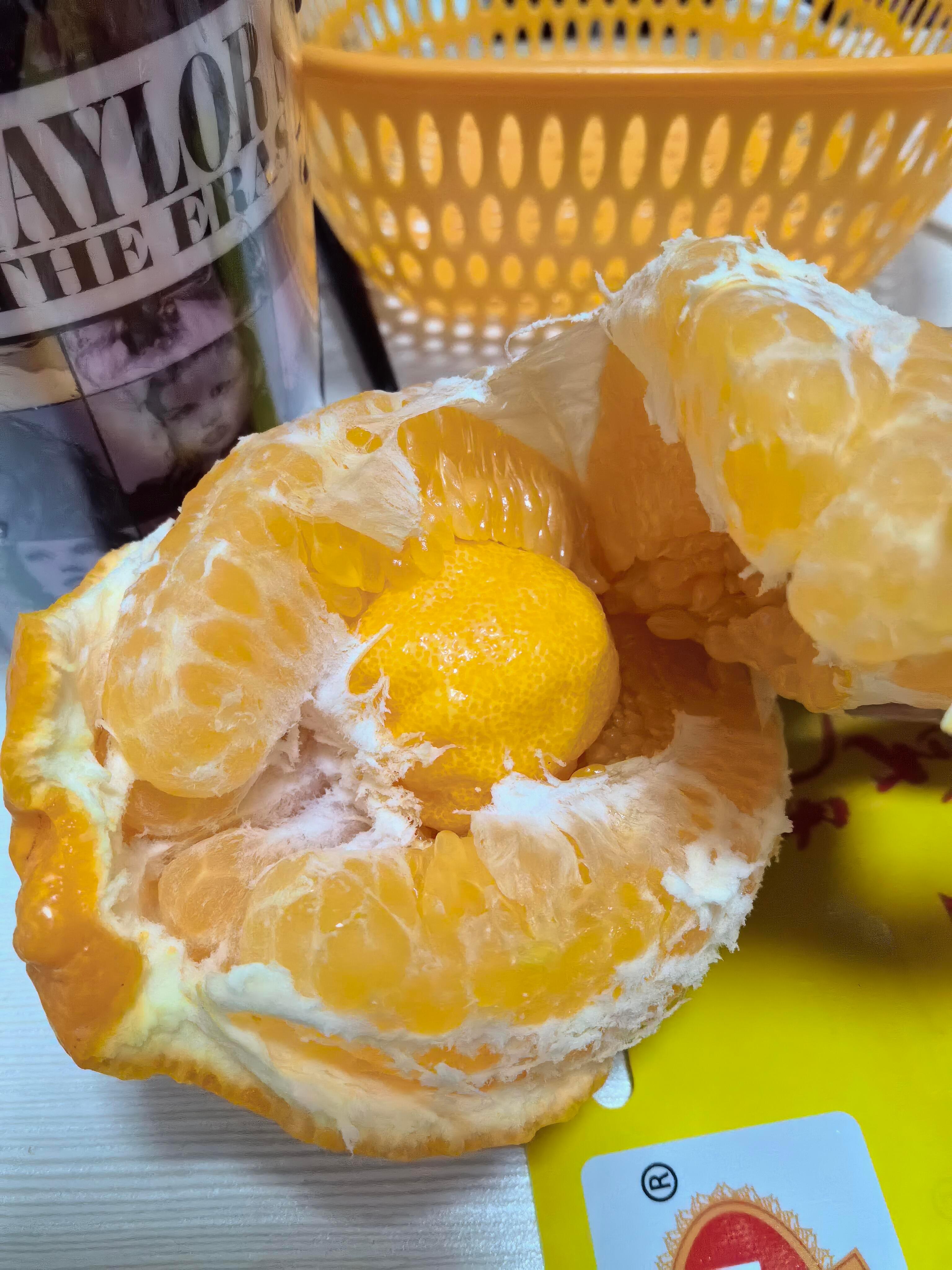 开出了一颗怀孕的耙耙柑