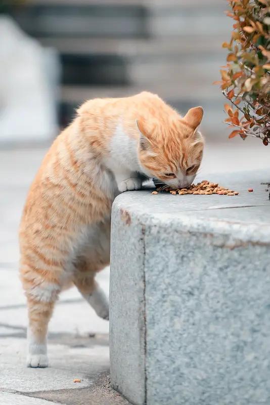 孩子一出生就自带口粮自带工资？别不信，看完你就懂了！都说养娃费钱费力，我偏
