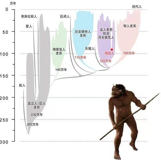 最近中国考古科研突破很多，成为DNA分子人类学的中心。真不需要去攻击古埃及，丟份