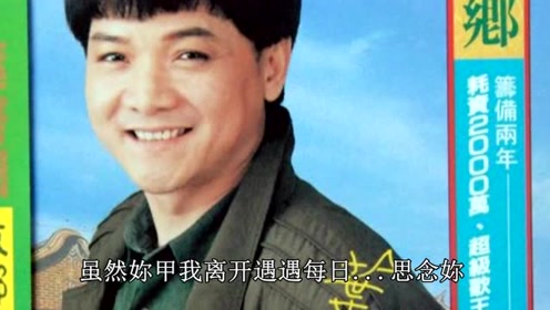 叶启田(台语歌曲) - 绿岛之夜图片