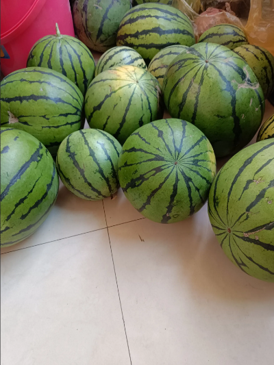 人不能依靠任何人啊！今天早上10点左右，单位通知领西瓜，我由于上班不能离开岗位
