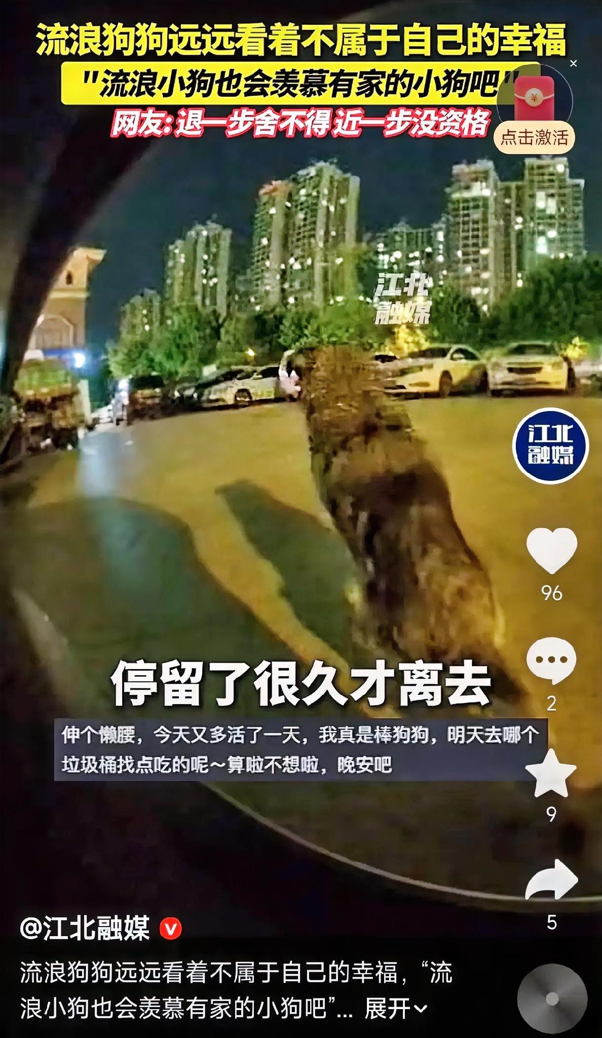 破防！安徽合肥，一车主在整理车载监控时，看到了戳人的一幕：深夜，一名男子牵着自家