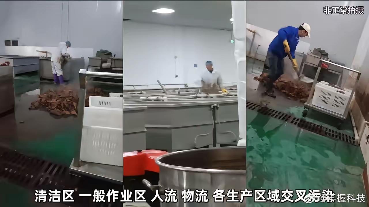 正式被通报！3月15日，鹿哈冲上热搜！他带货的开袋即食千层肚产品幕后竟然是令