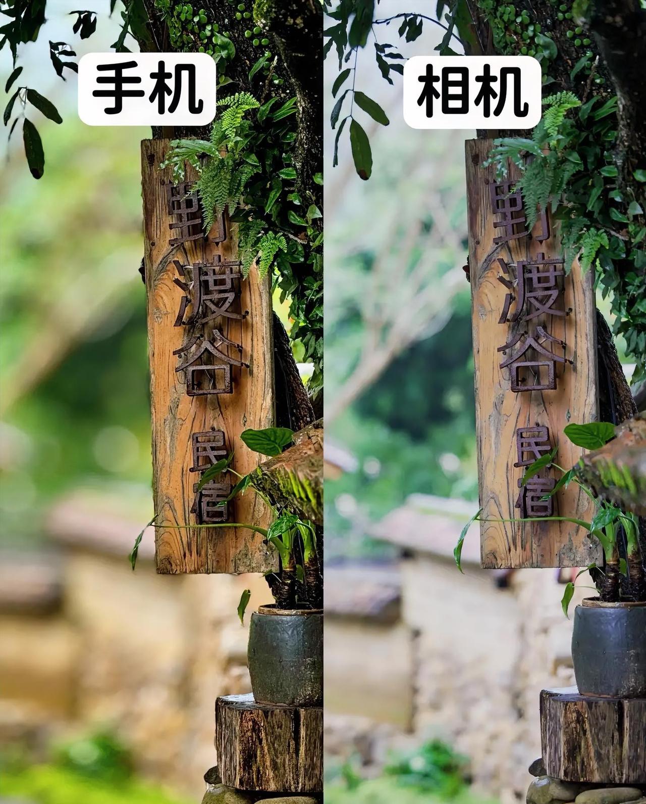 为啥手机拍照这么强了，还有那么多人用相机？【对比器材】⚙️：📱iPhone