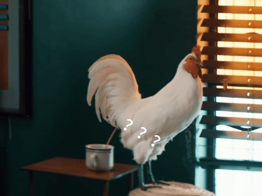 枭起青壤咖啡鸡哈哈哈哈，笑丝了，果然上烫搜了，刚才看的时候说喝鸡屎咖啡！