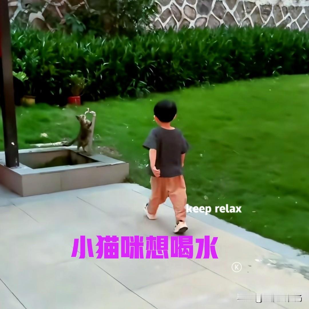 公园里的洗手池边，一只小猫咪不停地扒拉着水龙头，看样子应该是渴了。猫咪鼓捣了很久
