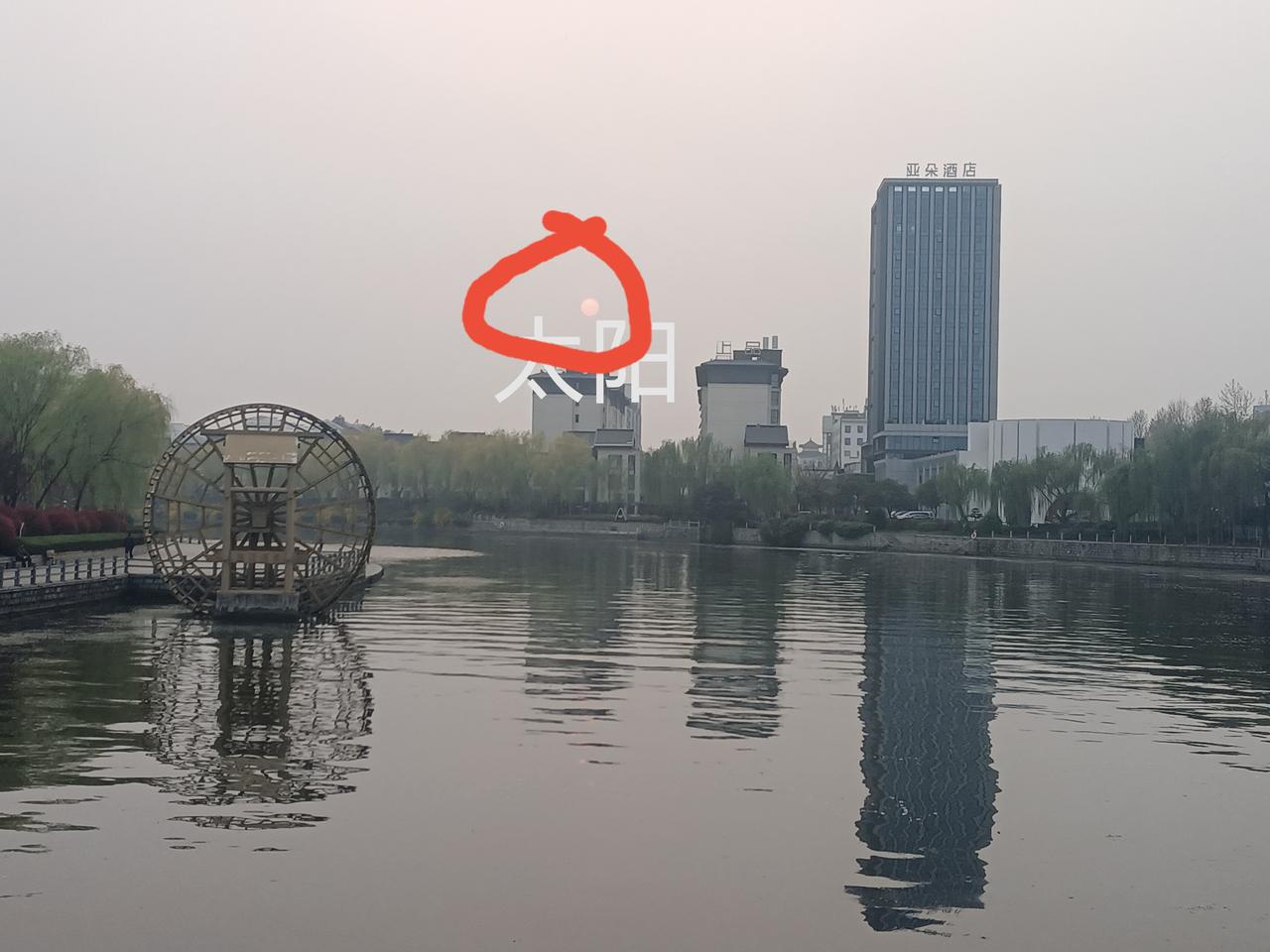 二月十三日手机记录下来的京杭大运河畔（台儿庄）景色。（图片来源：老山兰随手拍）