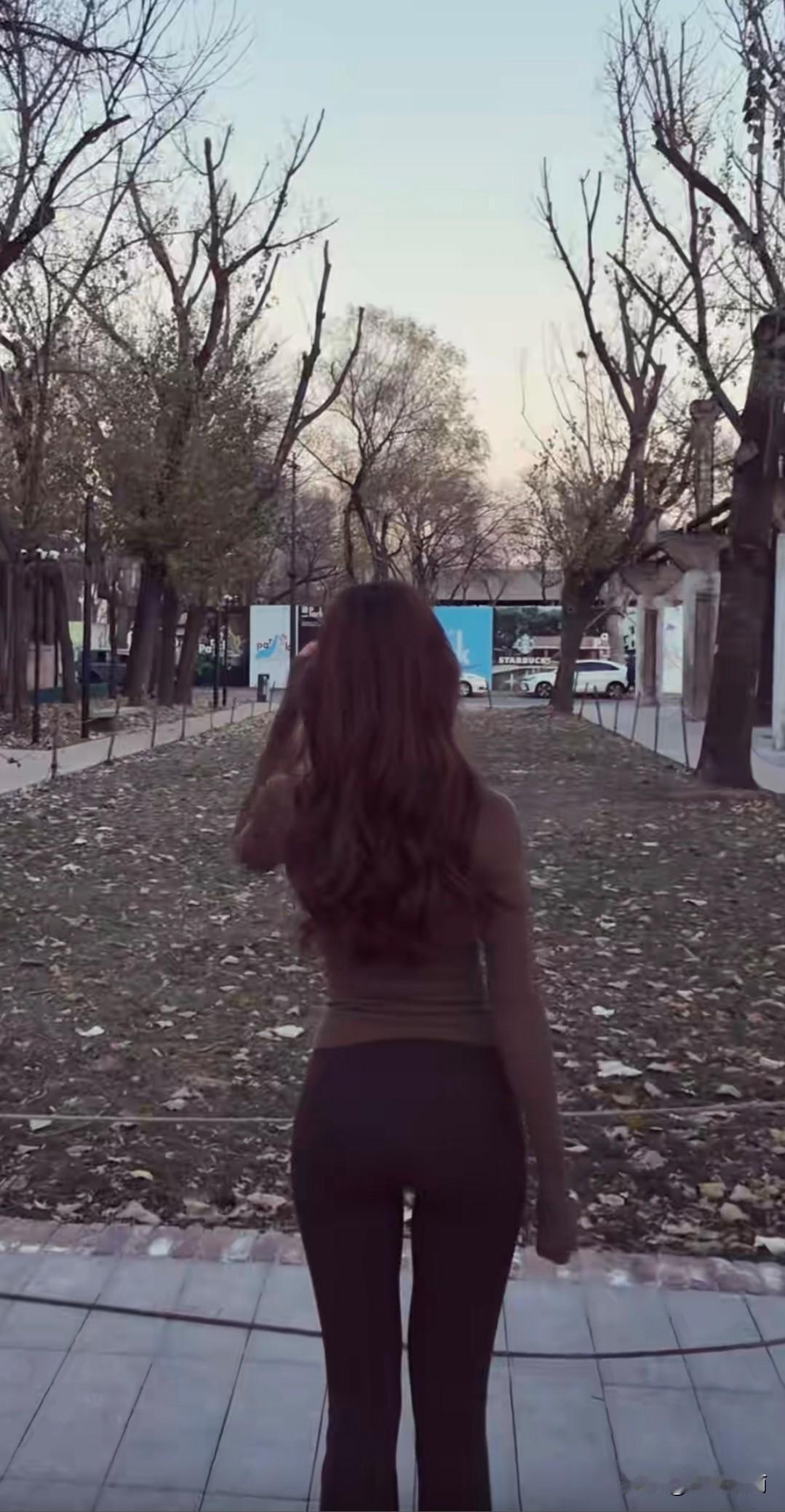 此情无计可消除，才下眉头，却上心头。