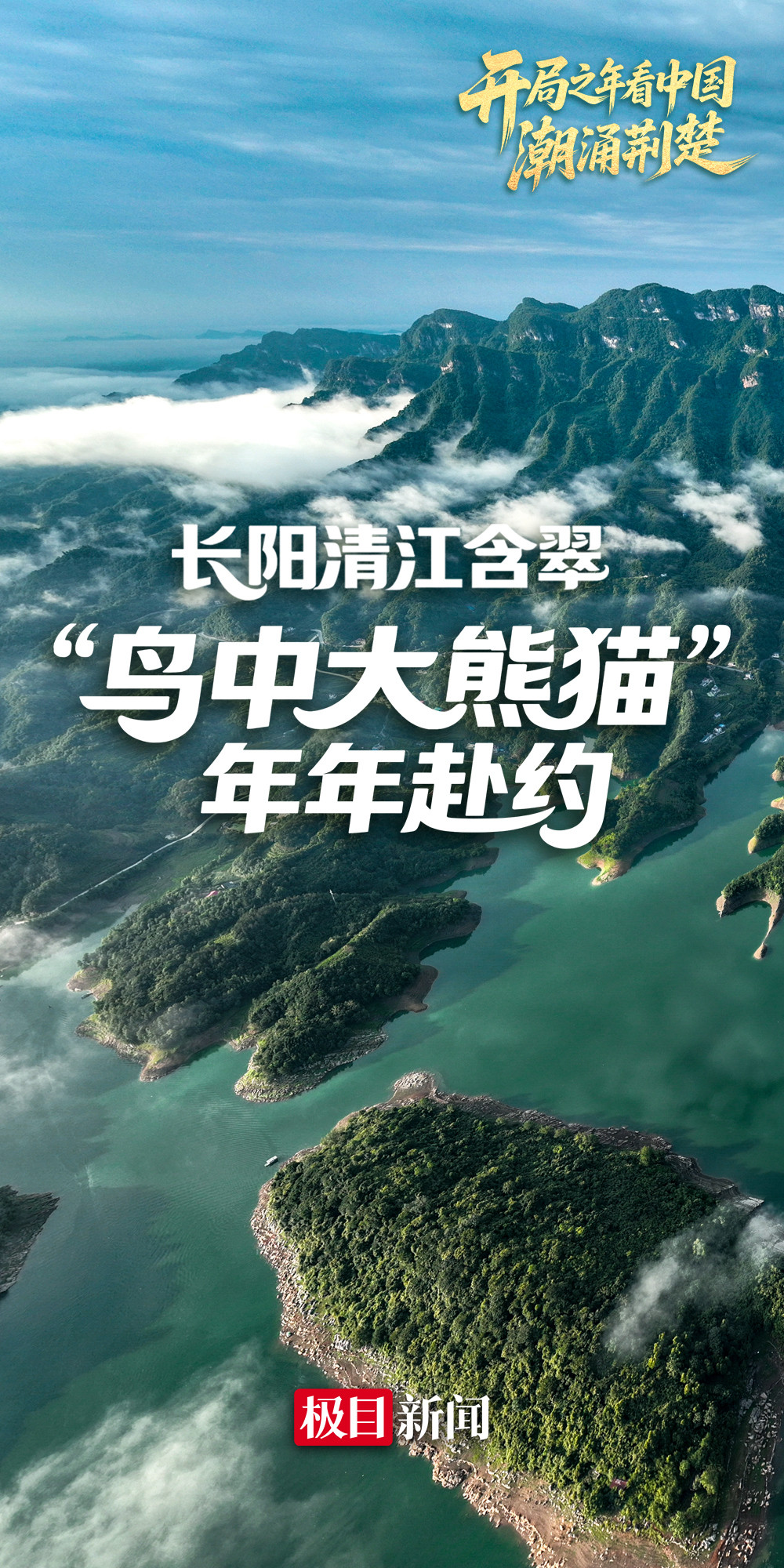 长阳清江含翠, “鸟中大熊猫”年年赴约
