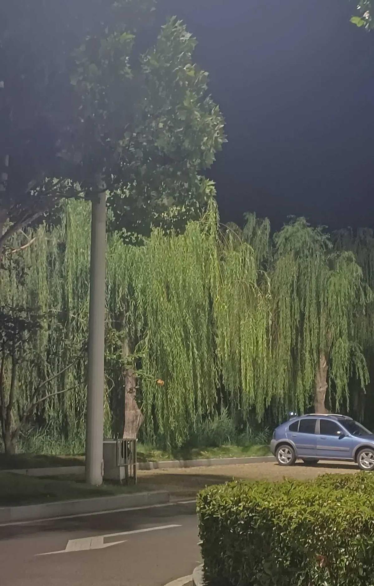 老了怕啥，最怕手里没钱心里没谱更怕只剩朋友圈的晒富滤镜退休金8000的和20