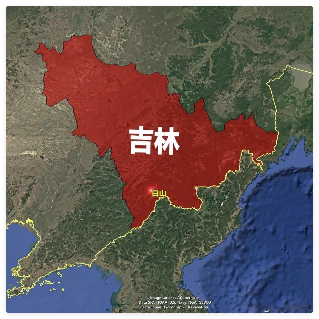 全国不足5000只！吉林深山惊现4只幼豺，采药人:跑山30多年头一回撞见。