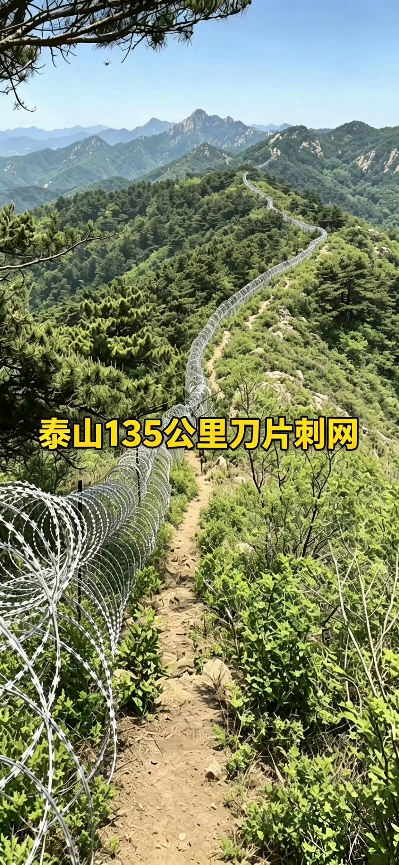 泰山景区道歉知道的这是泰山风景区防游客逃票而安装的。不知道的还以为是朝鲜韩国边境