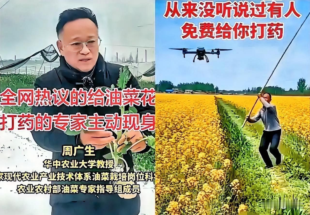 农业专家坐在空调房里，觉得几只虫子把油菜花吃了，就建议农民在油菜花期的时候打药全