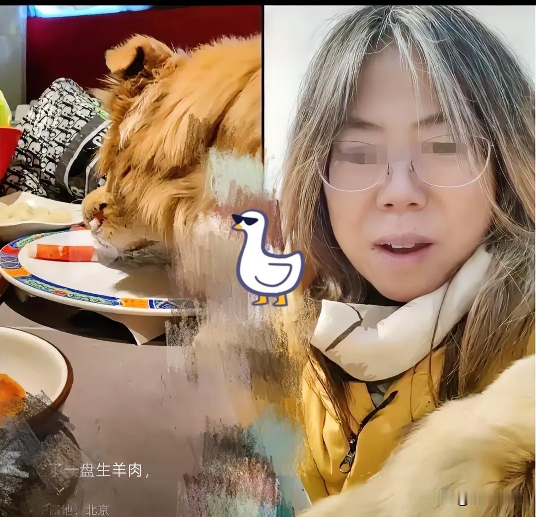 真是令人无语，女子带狗去涮肉馆吃完饭，竟然纵容自己的狗去舔盘子，还发视频炫耀“狗