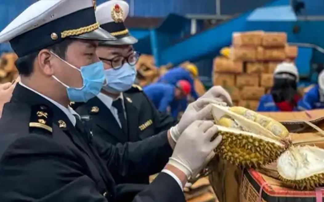 泰国榴莲这事越挖越吓人！咱中国人爱吃榴莲，可谁能想到，这泰国榴莲里竟藏着要命的东