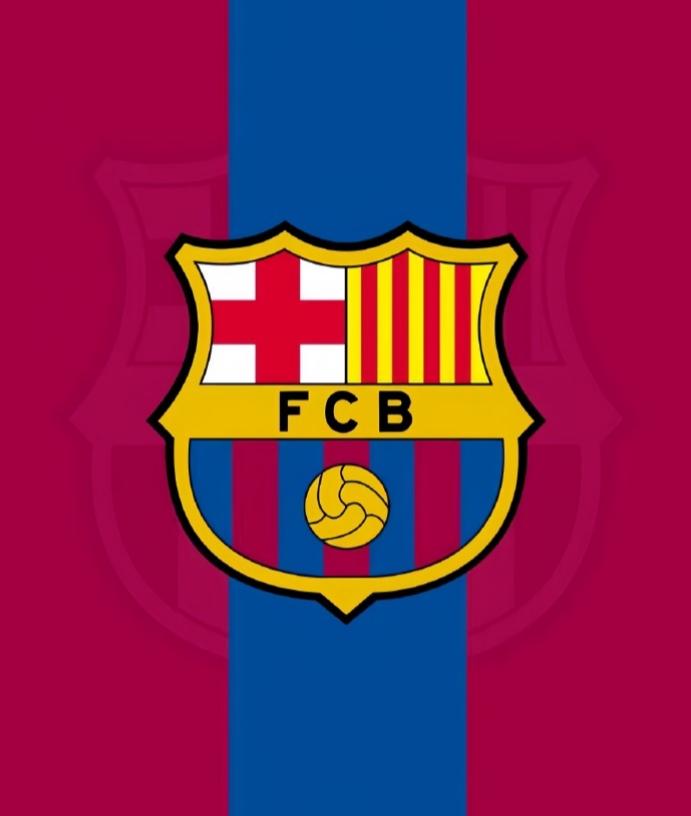 盘点巴萨队史出场超过200场的外援：小罗，207场（巴西）弗兰克德波尔，21