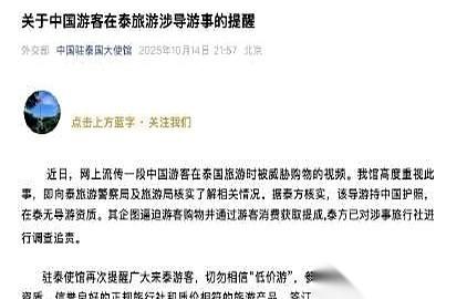 泰国那个逼游客购物的视频，我看了，气得肝疼。最扎心的是什么？不是在国外被欺负了