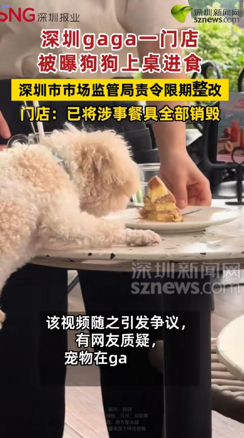 狗上桌了！没想到吧，不仅是我们没想到，我们的老祖宗也没有想到，5000多年来，狗