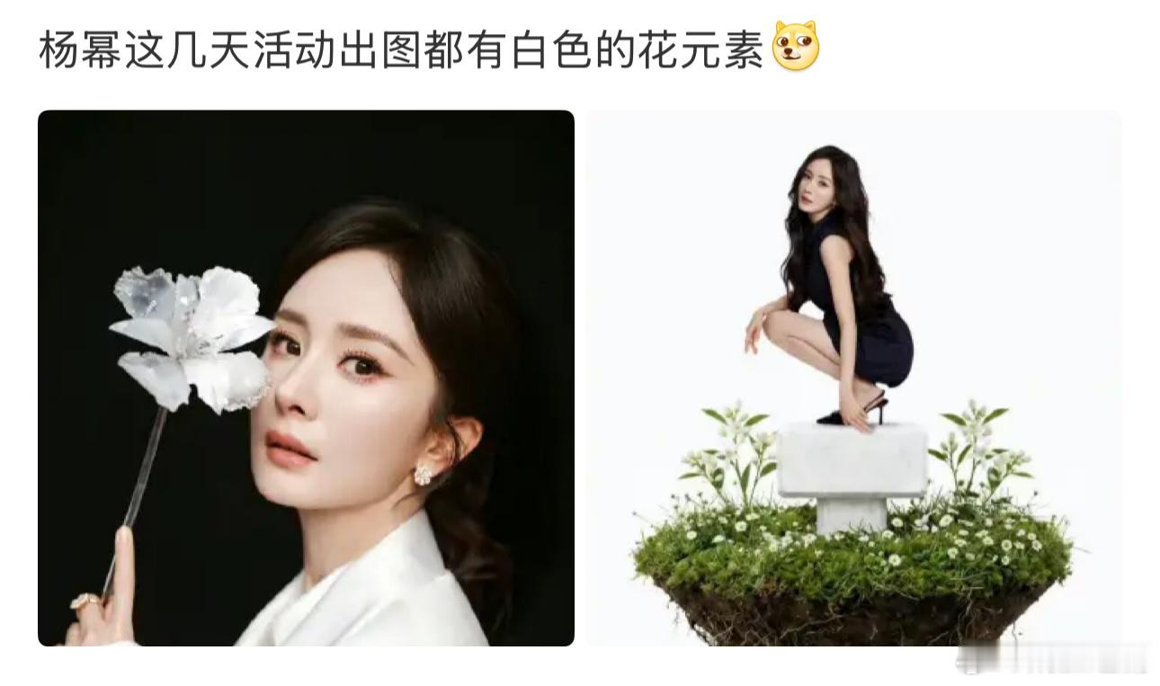 未免白玉兰敏感肌了吧？有博主发文杨幂这几天活动出图都有白色的花元素
