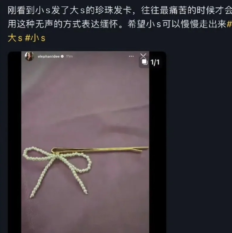 小S晒的这个蝴蝶结发夹某宝同款不到20，感觉不太像大S的遗物啊。反而是网友说的