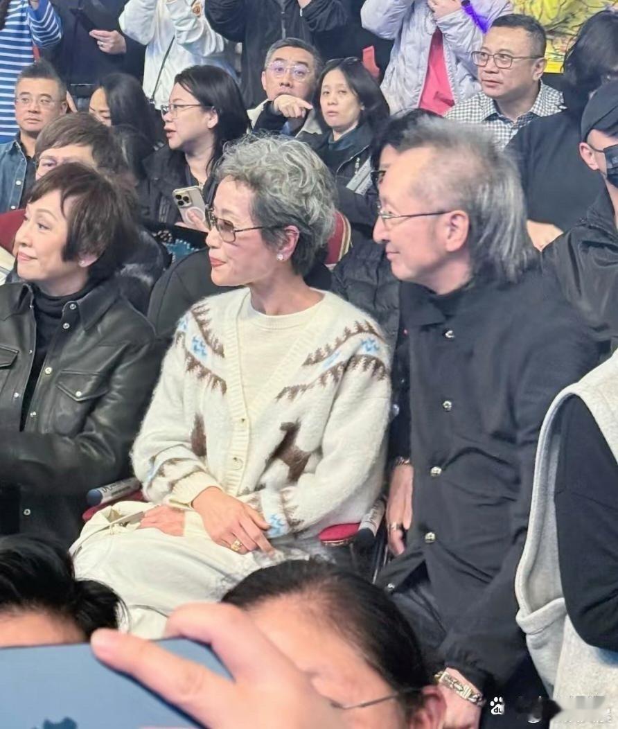 62岁叶童与丈夫陈国熹一同现身演唱会，夫妻俩虽已白发苍苍，身形清瘦，却精神矍铄状