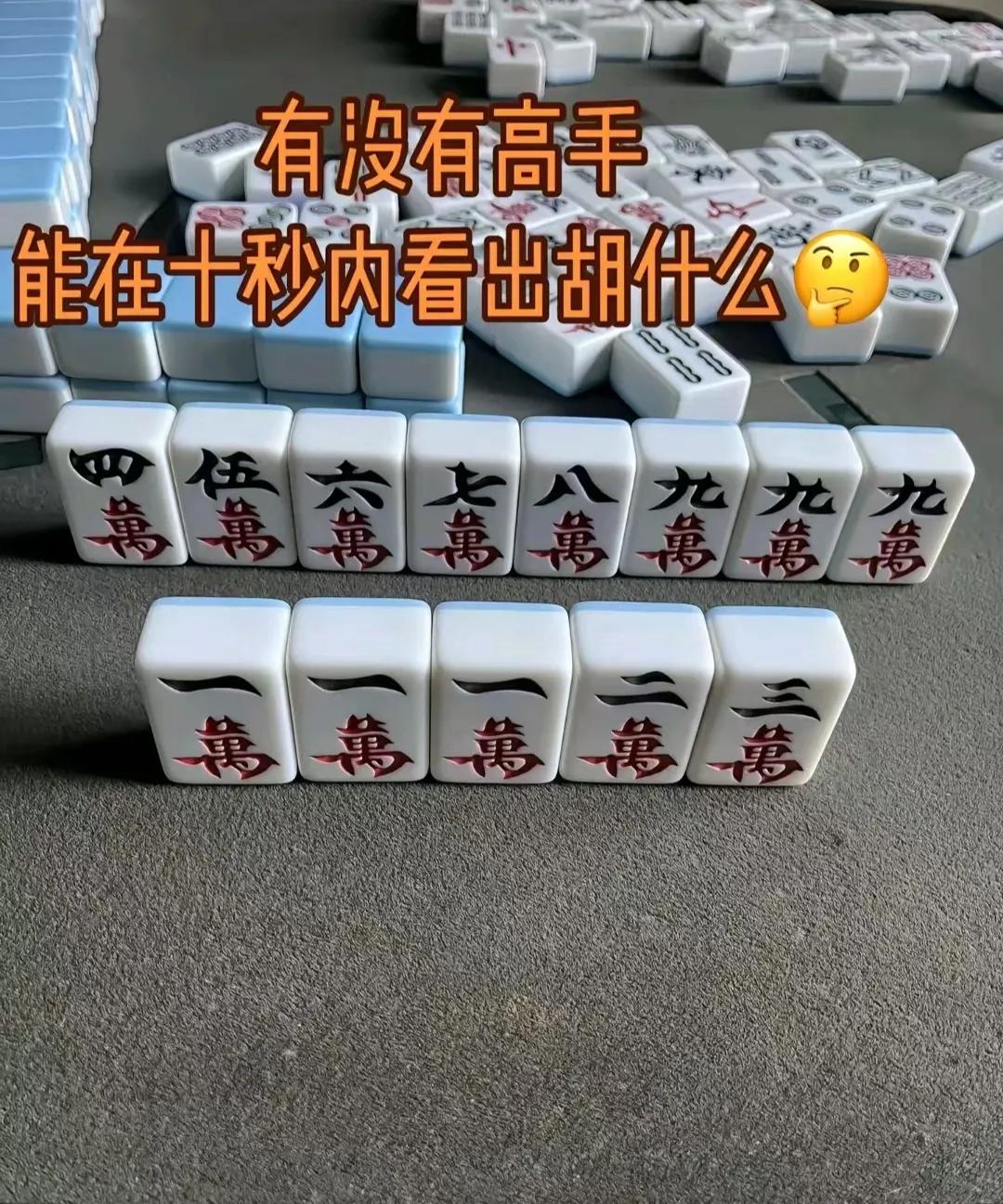 有没有高手能在十秒内看出胡什么？[思考]
