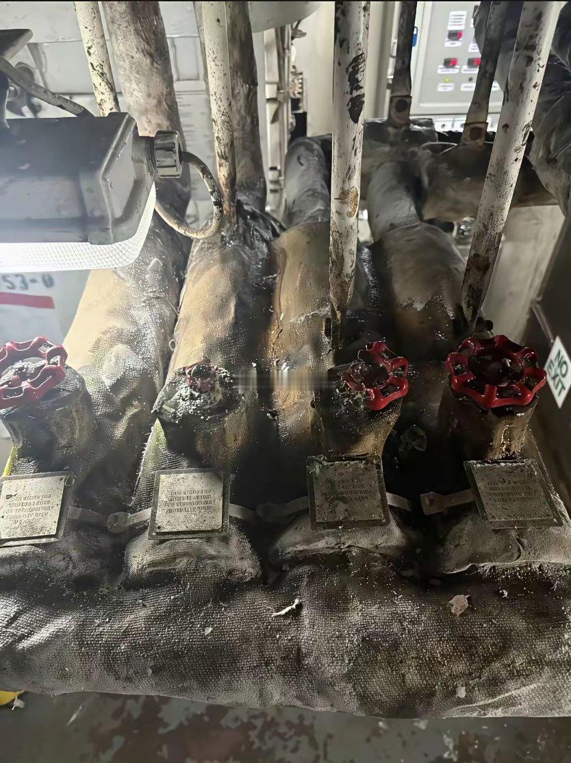 华盛顿航母，马桶被盘得包浆极厚管线、开关也长满了单细胞生物它去轮岗能比林肯号好得
