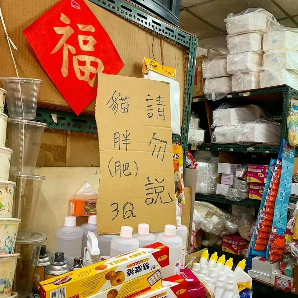 日用品店老板不允许顾客说他的胖猫​​​