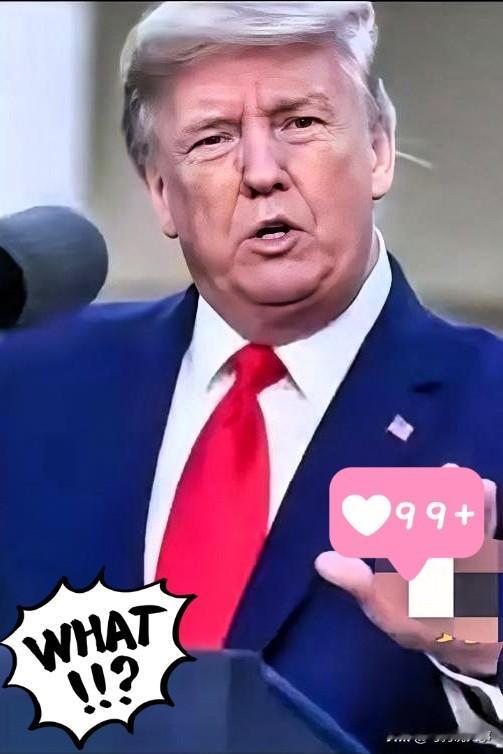 快讯！快讯！美国突然传来消息11月9日，特朗普不仅要退钱，连总统宝座也不