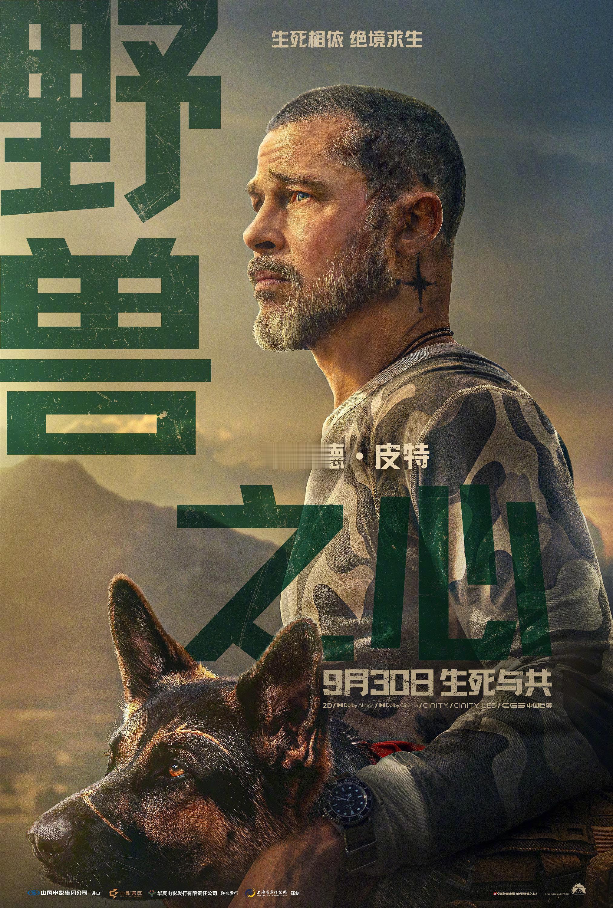 布拉德·皮特主演的《野兽之心》全球票房已突破1.3亿美元，再次让他主演的电影在全