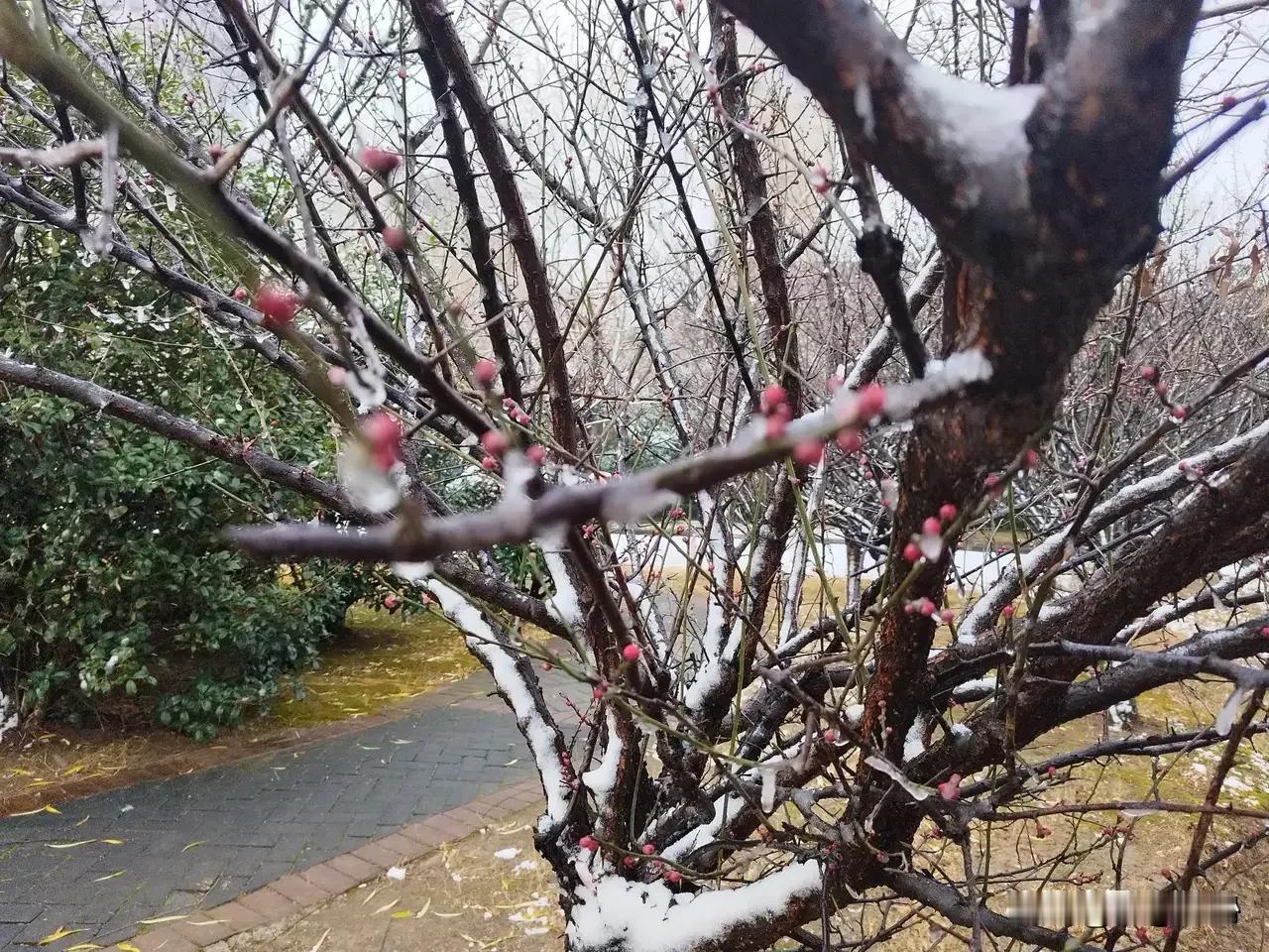 【孩子14～18岁是关键时期，也是容易出问题的时候】客观聊聊詹姆斯如果生三胎奖