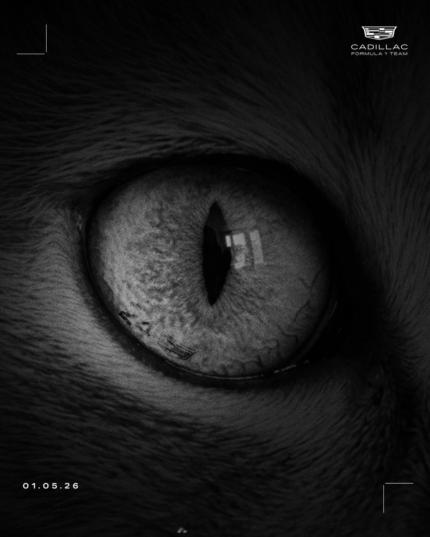 周冠宇凯迪拉克周冠宇不再担任法拉利F1车队的储备车手。同时，新车队凯迪拉克也早