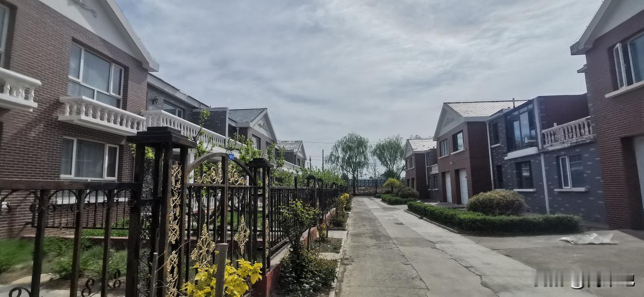 这些别墅已经建成十几年了，卖出去的很少。别墅所处的位置尽管是在一个镇上，但各种条