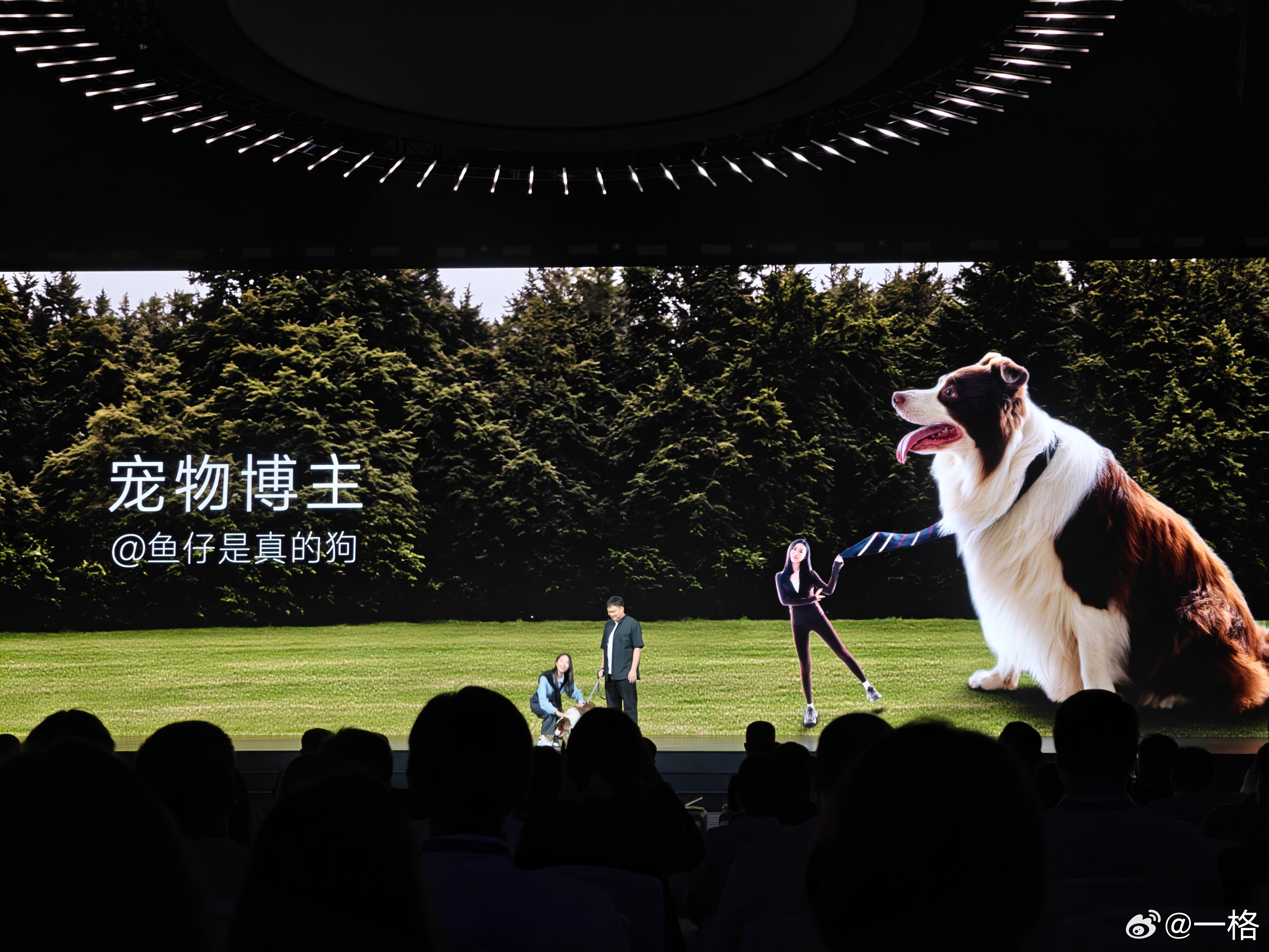 别人家的狗狗都出来接商务了，我家的猫还只会打架和偷零食​​​