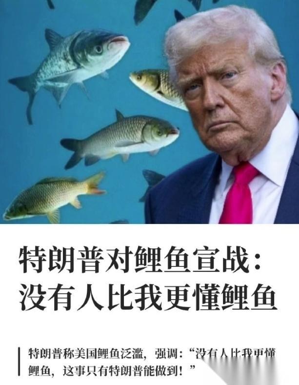 特朗普这人真是一刻都不消停。跟伊朗那边刚停火没两天，他又给自己找了一个全新的战场