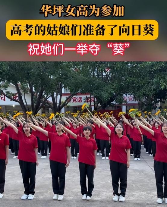她们赢了！张桂梅的华坪女高再创奇迹，上百山里姑娘全员上岸。2026年高考放榜，云