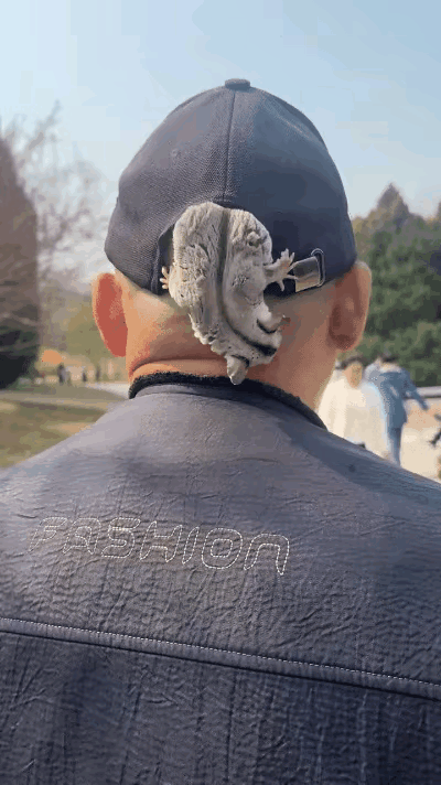 在颈项上爬上爬下，脚指甲会不会抓进肉中，就算它乖，不抓，你痒痒的感觉也很难受。