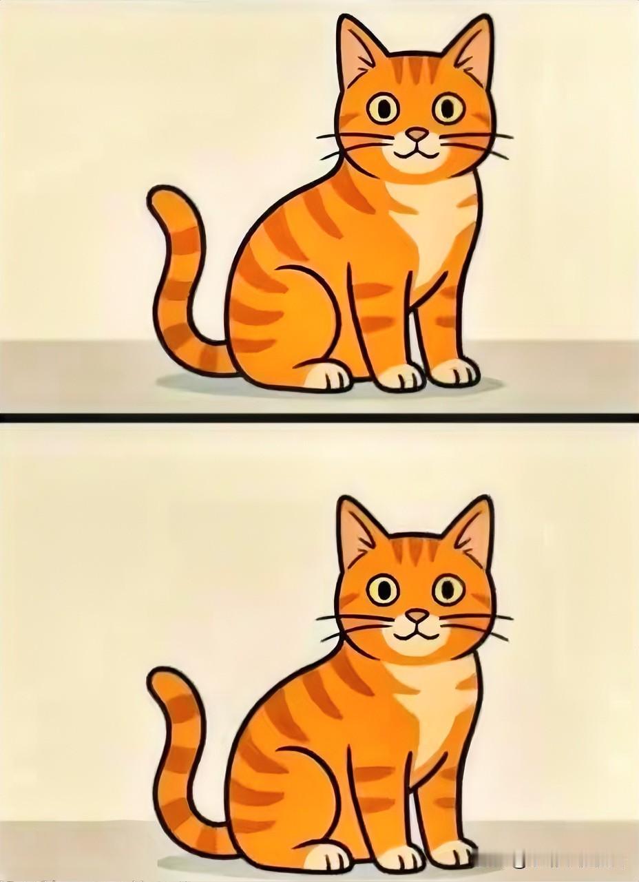 猫坐观天下，静看云卷舒考眼力1处不同找找看