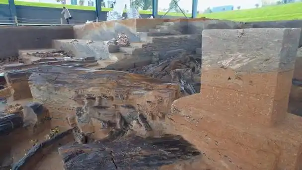 《三星堆之后，四川再出奇迹！濛溪河遗址群震撼登场》
