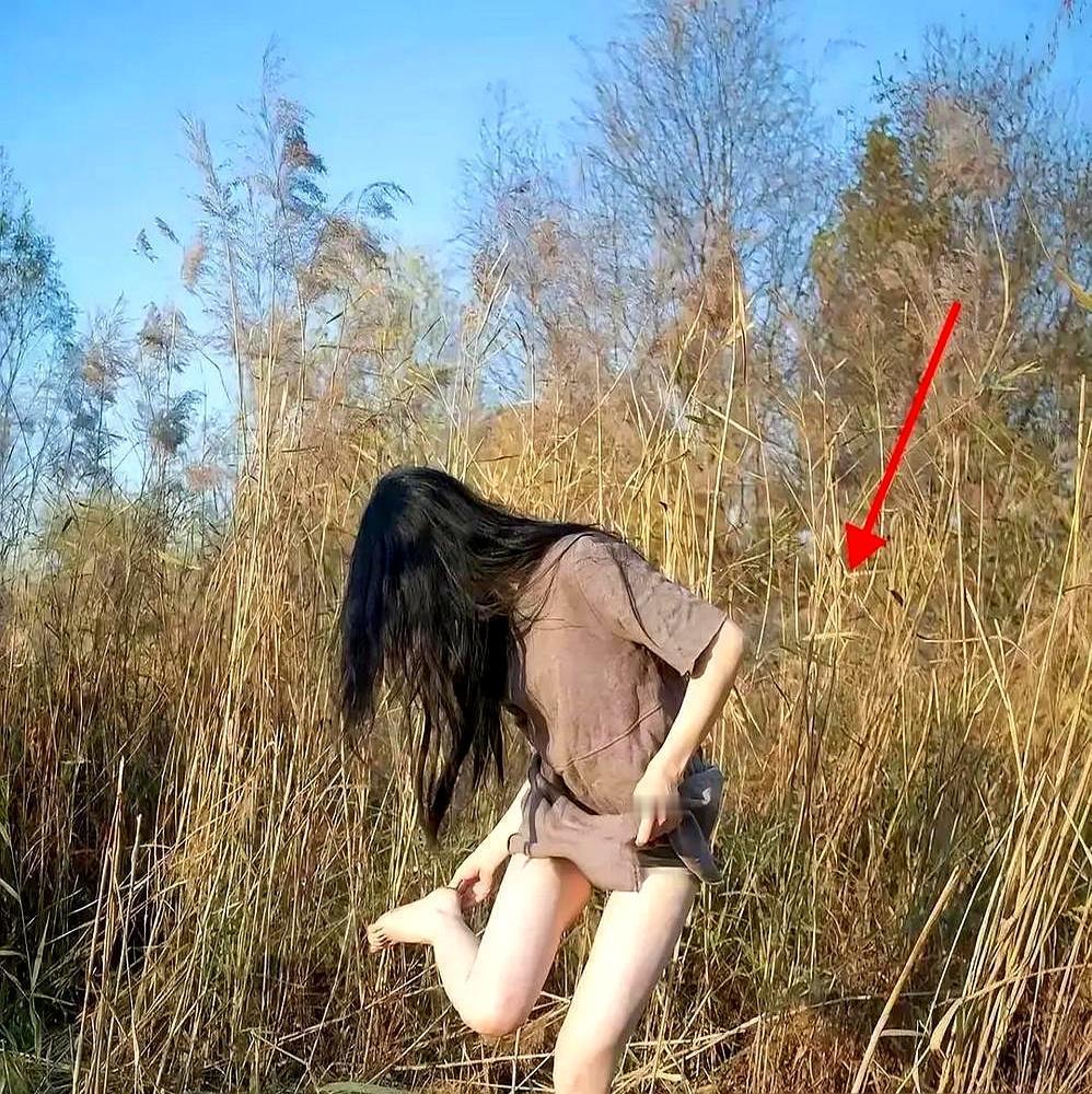 剧本没批，一分钱没有，张艺谋先砸钱种了200亩地。张艺谋一脚踩进莫言老家高