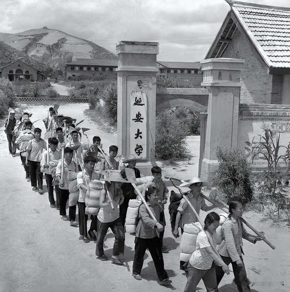 说起当年的工农兵学员上大学，很多人都心知肚明，大多离不开门路与人脉，普通家庭孩子