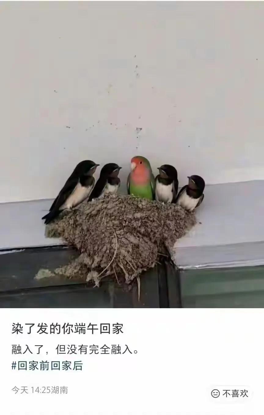 哈哈哈哈，这样的吗[笑着哭]