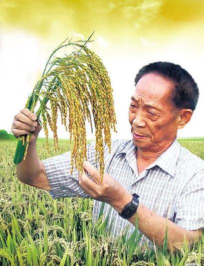 原来他已经离开5年了之前袁隆平接受采访的时候说了这样一段话，他说，自己曾
