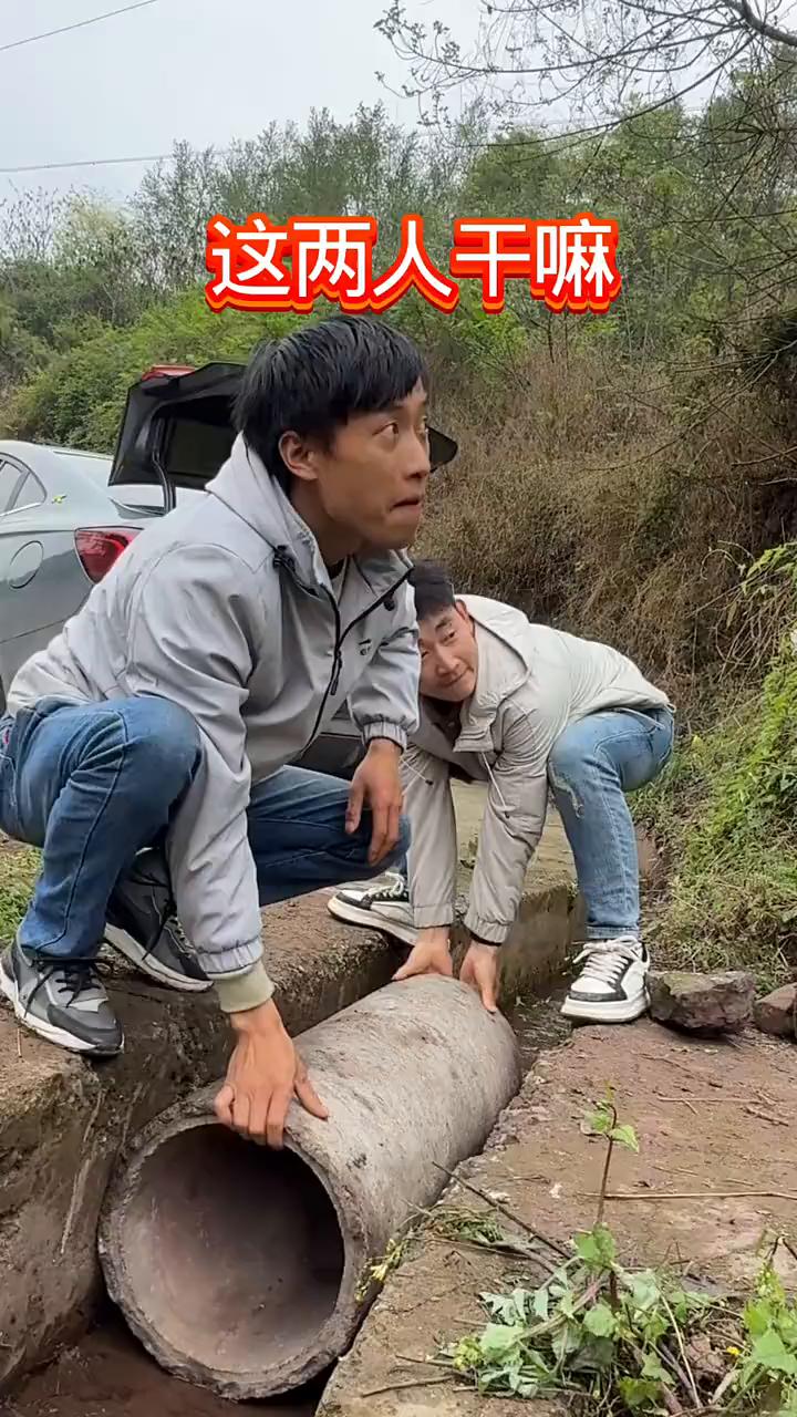 这两人干嘛？