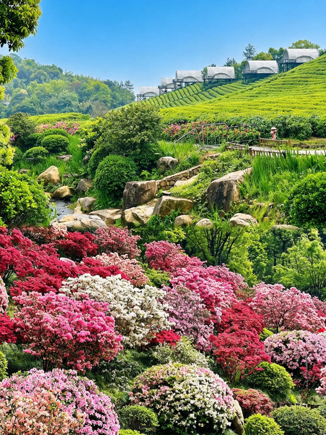 春天总要去一趟现实版“莫奈花园”吧！