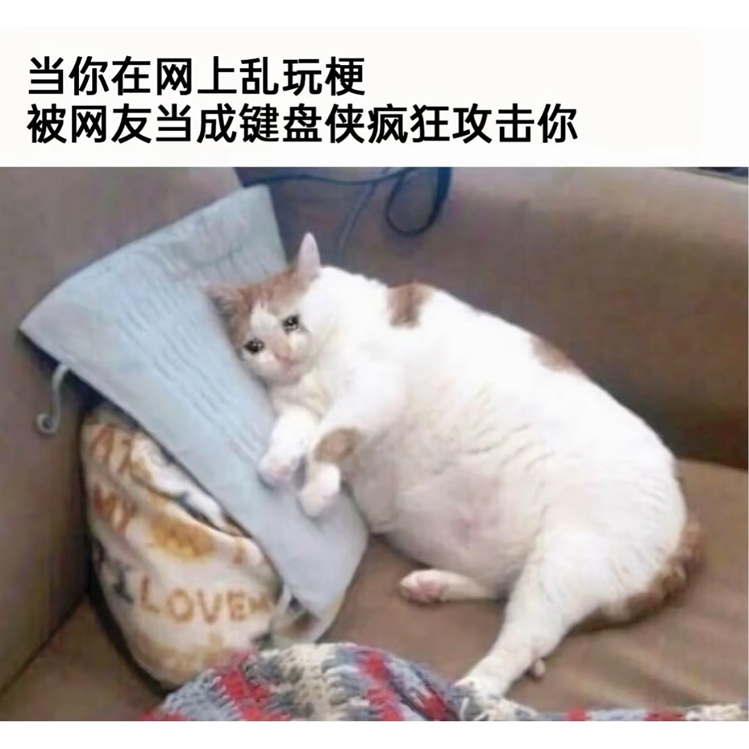 一些梗图分享