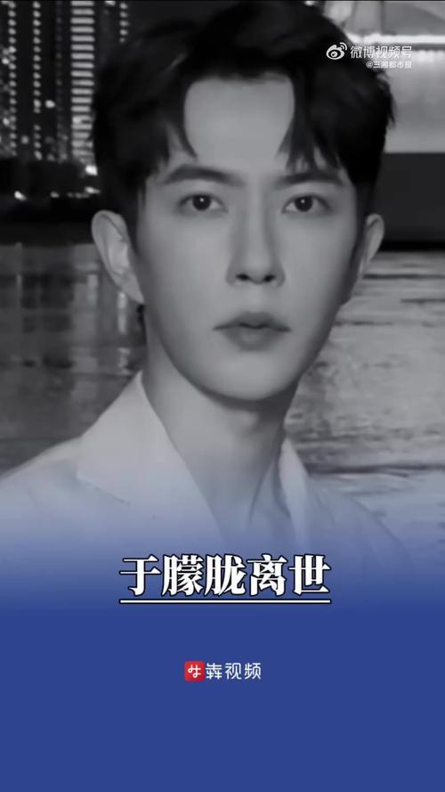 据一位业主透露，当天自己像往常一样下楼遛狗，走到小区某角落时，发现于朦胧坠落在地